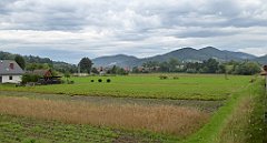 369_TZ60_P1130338_cr