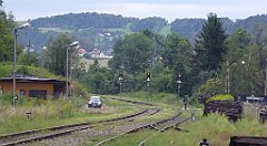 388_TZ60_P1130358_cr