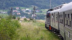 431_TZ60_P1130402_cr