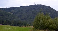 469_TZ60_P1130446_cr