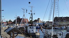 0231a_TZ60_P1130678_cr