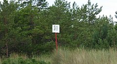 0379_TZ60_P1130780_cr