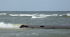 0388_TZ60_P1130789_cr