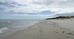 0396a_TZ60_P1130797_cr