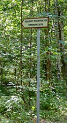 0516_TZ60_P1130868_cr