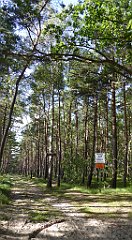 0517_TZ60_P1130869_cr