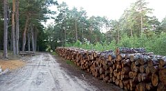 0001a_A806_IMG_20160813_064136_cr