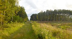 0011_TZ60_P1130882_cr