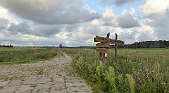 0032_TZ60_P1130903_cr