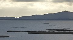 0114_TZ60_P1130952_cr