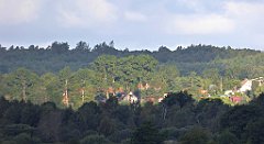 0130_TZ60_P1130972_cr