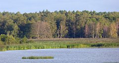 0146_TZ60_P1130994_cr