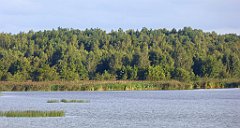 0149_TZ60_P1130999_cr