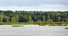 0153_TZ60_P1140008_cr