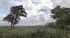 0236_TZ60_P1140049_cr