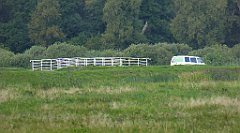 0239_TZ60_P1140052_cr