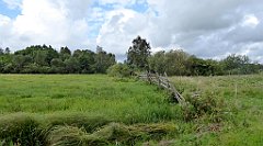 0276_TZ60_P1140073_cr