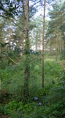 0294_TZ60_P1140086_cr