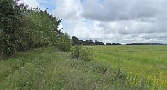 0344_TZ60_P1140105_cr