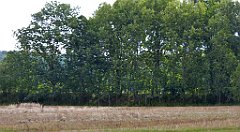 0358_TZ60_P1140115_cr