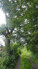 0359_TZ60_P1140116_cr