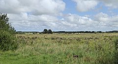 0520_TZ60_P1140144_cr