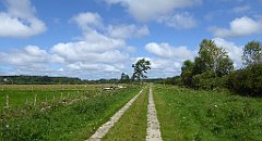 0521_TZ60_P1140145_cr