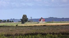 0534_TZ60_P1140158_cr