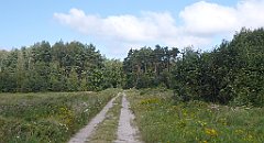 0560a_3D_P1100976_cr