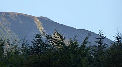 0013_TZ60_P1140211_cr