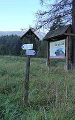 0022_TZ60_P1140220_cr