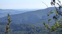 0073_TZ60_P1140248_cr