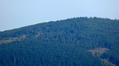 0075_TZ60_P1140250_cr