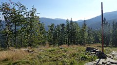 0077a_TZ60_P1140257_cr