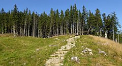 0084_TZ60_P1140259_cr