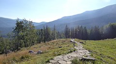 0088_TZ60_P1140263_cr