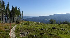 0094_TZ60_P1140267_cr