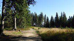 0115_TZ60_P1140283_cr