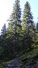 0139_TZ60_P1140294_cr