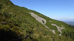 0171_TZ60_P1140303_cr