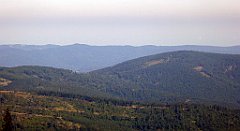 0175_TZ60_P1140308_cr