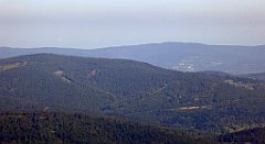 0176_TZ60_P1140309_cr