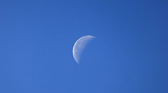 0184_TZ60_P1140318_cr