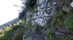 0193_TZ60_P1140325_cr