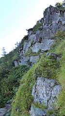 0257_TZ60_P1140388_cr