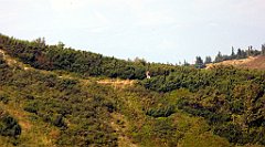 0289_TZ60_P1140410_cr