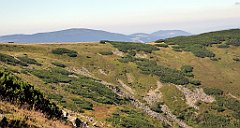 0310_TZ60_P1140427_cr