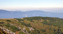 0315_TZ60_P1140431_cr