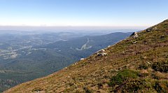 0343_TZ60_P1140446_cr