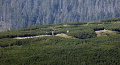 0443_TZ60_P1140517_cr